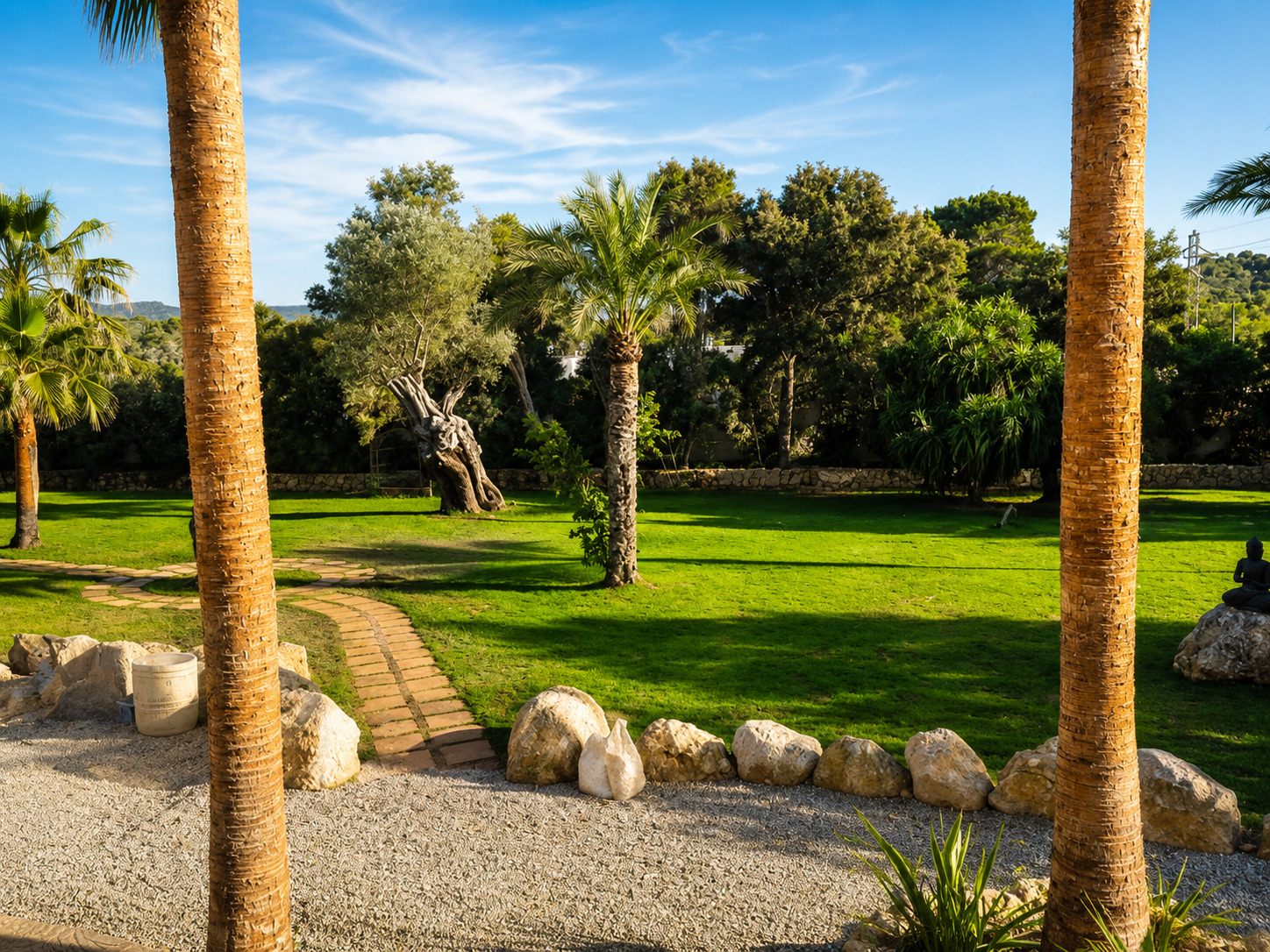 Jardín mediterráneo con palmeras y césped en villa de Ibiza