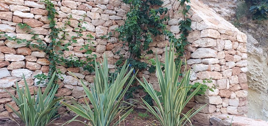 Detail of the stonework beside garden plants