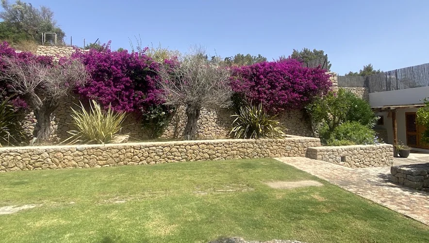 Stone walls dividing a garden into different levels