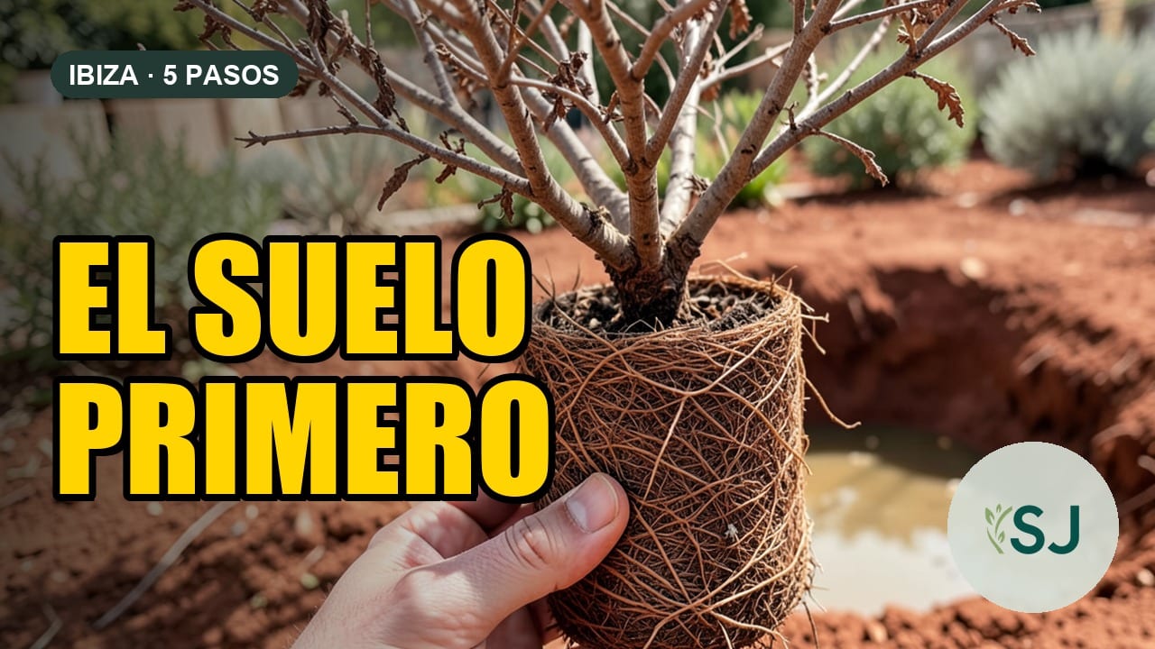 Cómo preparar el suelo de tu jardín en Ibiza