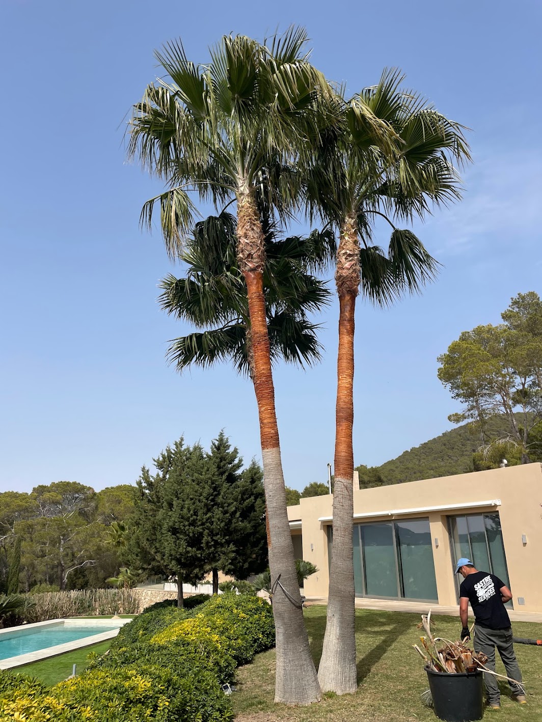 Villa con jardín mediterráneo en Santa Eulalia
